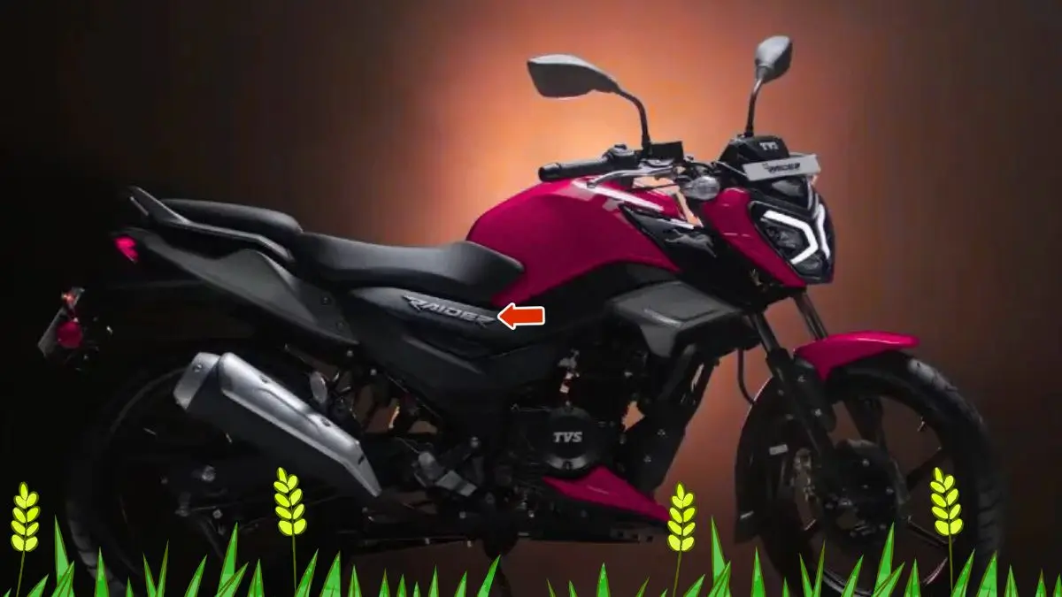 TVS Raider 125 Launched